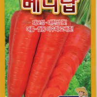 베니탑 당근씨앗10g 사카타 여름.가을당근씨앗