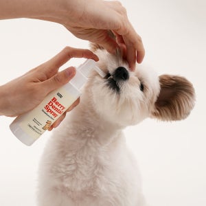 래핑찰리 베리 덴탈 구강 스프레이 강아지 입냄새 치석 제거 딸기향 120ml