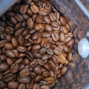아라비카 원두콩 당일로스팅 1kg 맛있는원두 커피홀빈 브라질 세하도 NY2