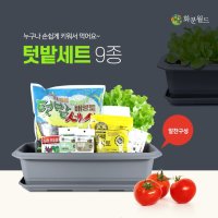 (방울토마토) 텃밭세트 집에서 베란다 상추 파 대파 키우기 베란다 아파트 텃밭