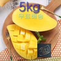 프리미엄 망고 고당도 태국망고 무지개망고 과일 선물세트 5kg