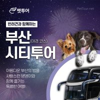 [펫투어] 🐶 반려견 동반 부산시티투어 (야경 투어)