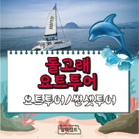 [1인] 돌고래요트투어/썬셋투어+호텔숙식