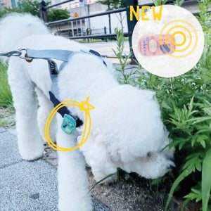 홉홉홉 벌레안녕 강아지 진드기 모기 해충방지 퇴치 슈퍼세이퍼 안전산책클립 8.5ml