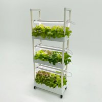 풀레뜨 가정용 삼성 LED 수경재배기 식물재배기 스마트팜 상추키우기 3단