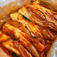 [덤증정] 농가살리기 배추 알배기 겉절이김치 HACCP 국내산 전라도식 2kg 3kg 6kg 9kg