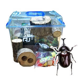 장수풍뎅이 관찰 키우기 클린 사육세트 대형