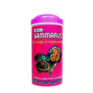 거북이 사료 아마존 감마루스 대 1000ml 파충류 먹이