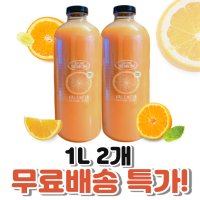 코스트코 돈시몬 오렌지주스 임산부 무가당 음료수 1L 2개