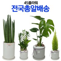 청주화분주문