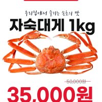 당일 선어 자숙대게 대게찜 찐대게 1kg 속초 대포항 리뷰 No.1 대게바다