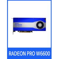 AMD 라데온 PRO W6600 D6 8GB 대원씨티에스