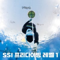 SSI 프리다이빙 레벨 1