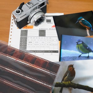 프레드폴 필름현상소 C41 컬러 필름현상 스캔