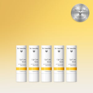 닥터하우쉬카 립 케어 스틱 패밀리팩 (고보습 립밤)