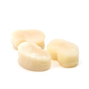 자연산 키조개관자 통관자 1kg 냉동 손질 개아지살