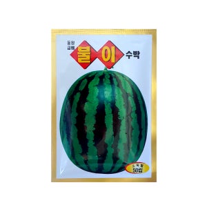 불이수박 50립 동원 씨 종자 다채 치커리 겨자 시저스 상추 비타민채 케일