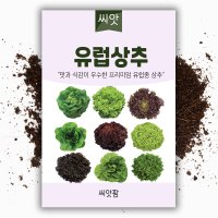 유럽상추씨앗 100립 씸블 샐러드 쌈채소 버터헤드 로메인 종자 씨