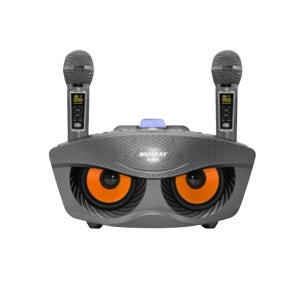 노래방마이크 듀얼 휴대용노래방 블루투스 가정용 스피커 노래방기기