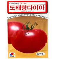 도태랑다이아 토마토씨앗 1000립 잎곰팡이내병성 대과종 전문가용 완숙토마토종자 다끼이육성