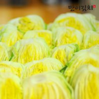 국산 절임배추 10kg 강원도 고랭지 배추