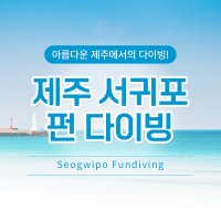 오션스타 제주도다이빙 펀다이빙 스쿠버다이빙 선택형