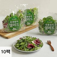 3번 씻은 신선한 하루한끼 샐러드 10팩 / 7가지 야채