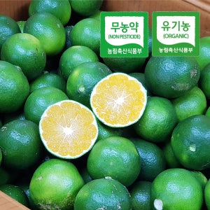 [농할] 제주 친환경 청귤 풋귤 무농약 유기농 5kg 3kg