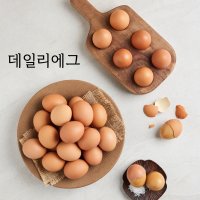 [HACCP인증] 맥반석 구운계란 대란 (+소금) 파손보상