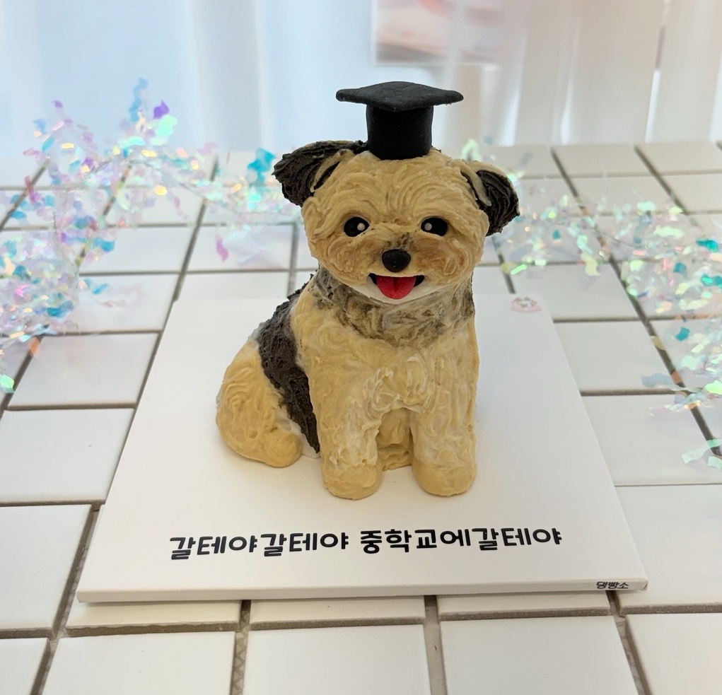 강아지입체케이크 특별한 날 기념일수제간식케이크