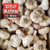 산지직송 2023년 합천산 홍산마늘 잘 건조시킨 저장마늘 10kg(대/중 220~240구) 무료배송