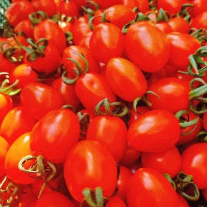 진심먹거리 스테비아 대추 방울토마토 토망고 망고맛토 스방스방