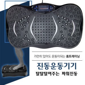 진동운동기구 탈탈 털어주는 파워진동