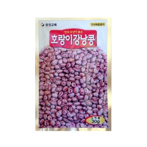 호랑이 강낭콩 30g 동원 씨 종자 다채 치커리 겨자 시저스 상추 비타민채 케일