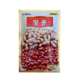 땅콩 30g 동원 씨 종자 다채 치커리 겨자 시저스 상추 비타민채 케일