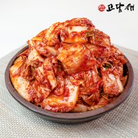 고담채김치 국산 전라도 맛김치 막김치 2kg