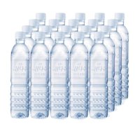 코스트코 생수 이마트 제주 삼다수 500ml 80병