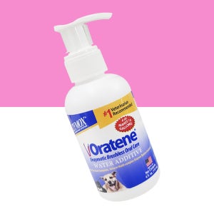 [자이목스] 오라틴 드링킹 워터 애더티브, 115ml