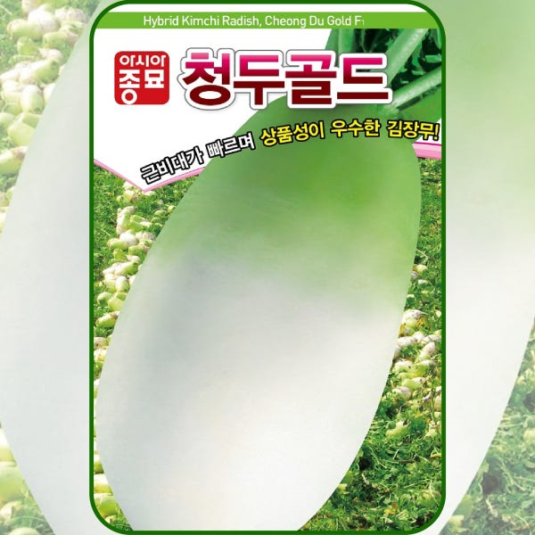 김장무 씨앗 청두골드 가을 무우종자 2000립 / 조기수확 저장 무