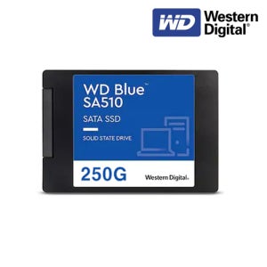 WD BLUE SA510 250G 2.5인치 SATA SSD 노트북용 데스크탑 (5년보증)