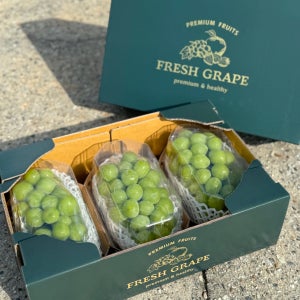 프리미엄 샤인머스켓 청포도 씨없는포도 산지직송 과일선물세트 2kg 3수