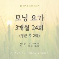 모닝요가 3개월 평균 주2회 (총24회)