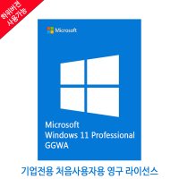 Windows11 Professional 기업 전용 라이선스(GGWA) 처음 사용자용