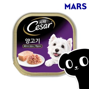 시저 캔 강아지 주식 습식 사료 양고기, 100g, 1개