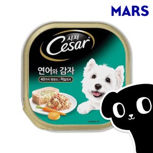 시저 캔 강아지 주식 습식 사료 연어와 감자, 100g, 1개