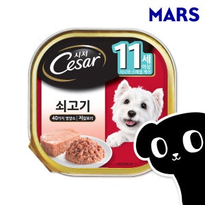 시저 캔 강아지 주식 습식 사료 11세 쇠고기, 100g, 1개