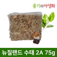 옹기와야생화 뉴질랜드 수태 2A 75g