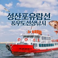 제주 성산포유람선 & 성산 우도선상낚시 / 제주도 배낚시 우도 유람선