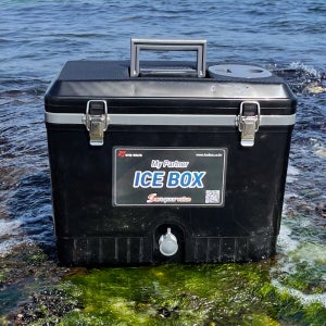 낚시아이스박스 17L 쭈꾸미 소형 쿨러
