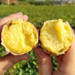 무안황토 유기농고구마 특품3,5kg 베니하루카